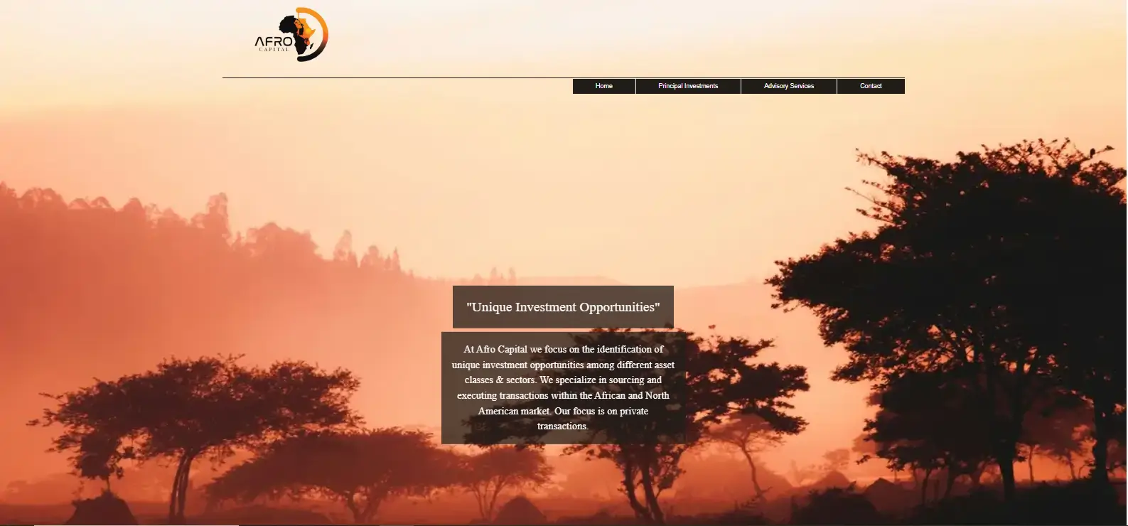 Afro Capital